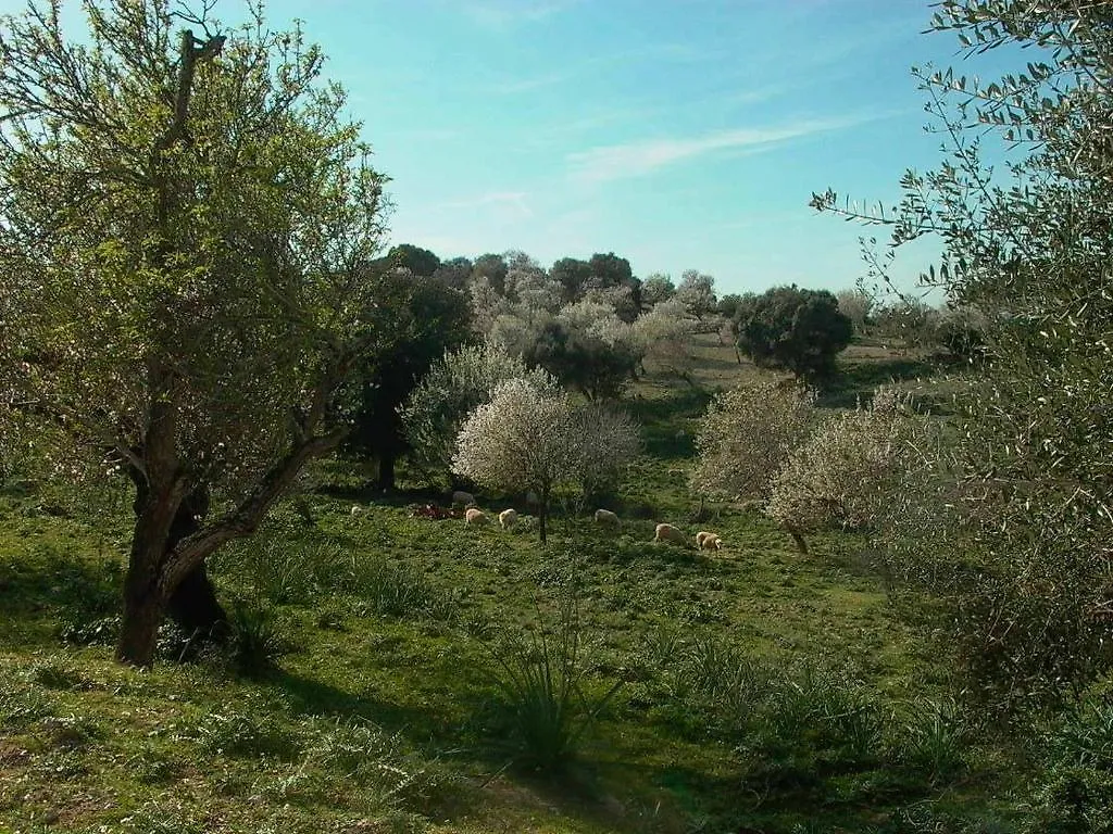 Lantgård Son Flor Agroturisme Villa Santa Margalida Spanien